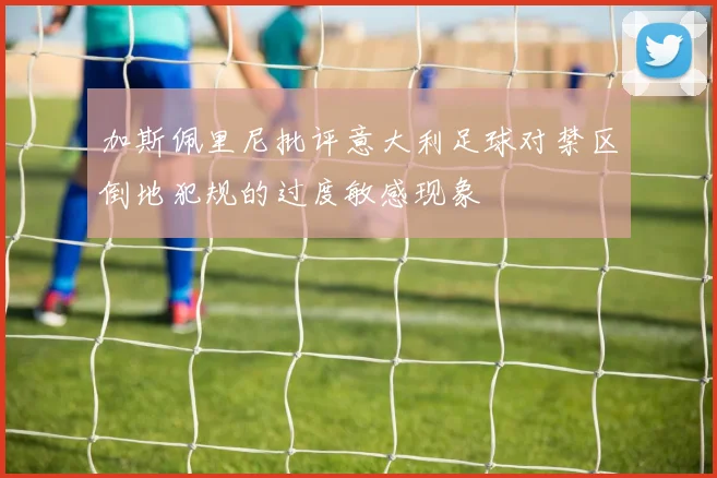 加斯佩里尼批评意大利足球对禁区倒地犯规的过度敏感现象