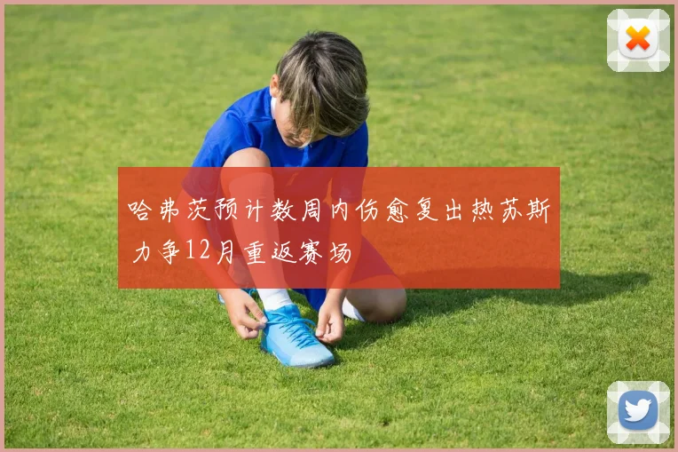 哈弗茨预计数周内伤愈复出热苏斯力争12月重返赛场