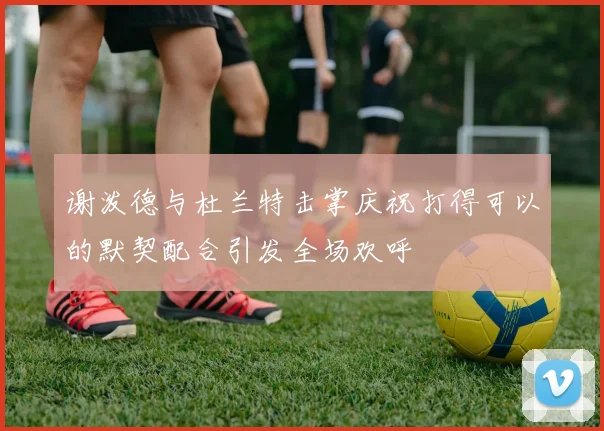 谢泼德与杜兰特击掌庆祝打得可以的默契配合引发全场欢呼