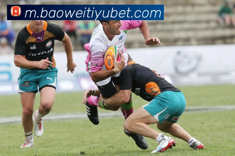 宝威体育APP 封面图